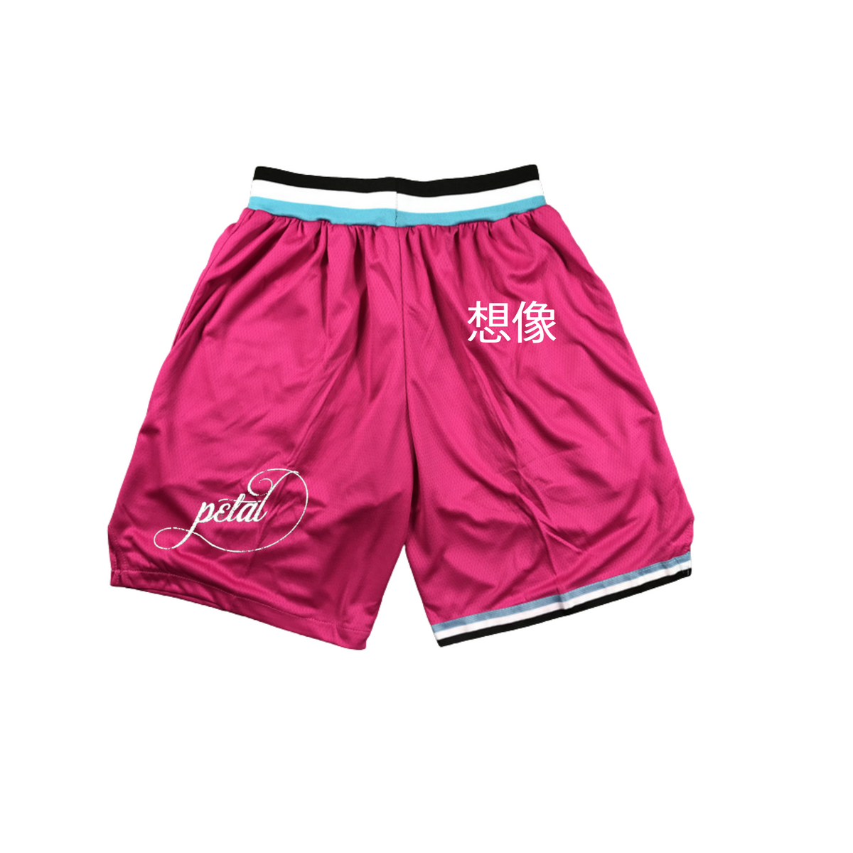 Ariana Grande Custom Shorts
